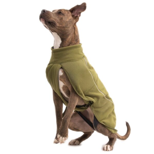 Web JPG-0588_Climate-Changer-Fleece-Vest_Cedar-Green_On-Dog-Action-1_STUDIO (衣服)RUFFWEAR 保暖刷毛狗背心